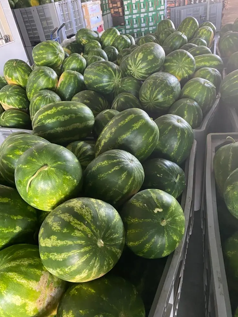 Watermelons